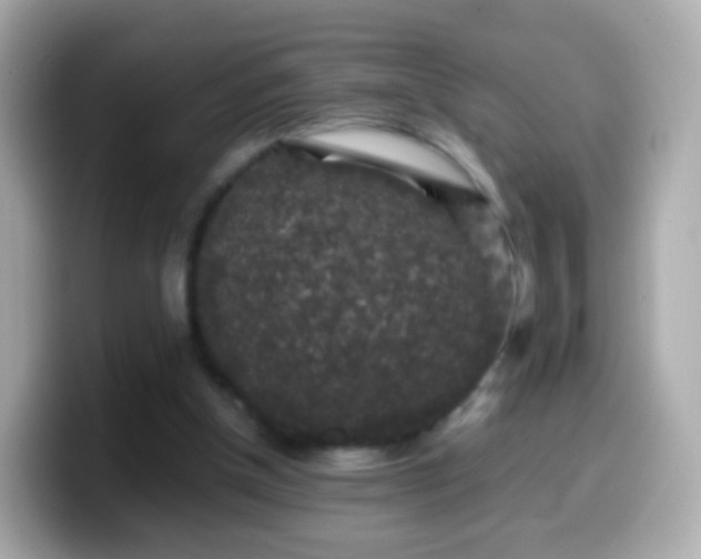 X0000099570154200805231538