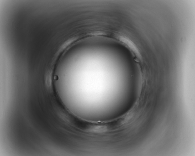 X0000099570155200805231538