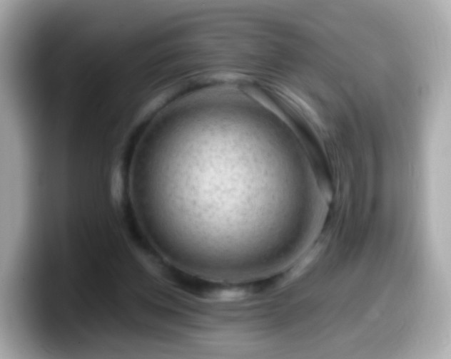 X0000099570158200805231538