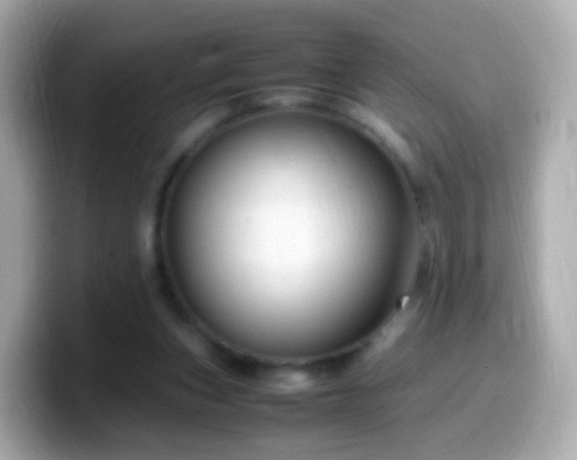 X0000099570159200805231538