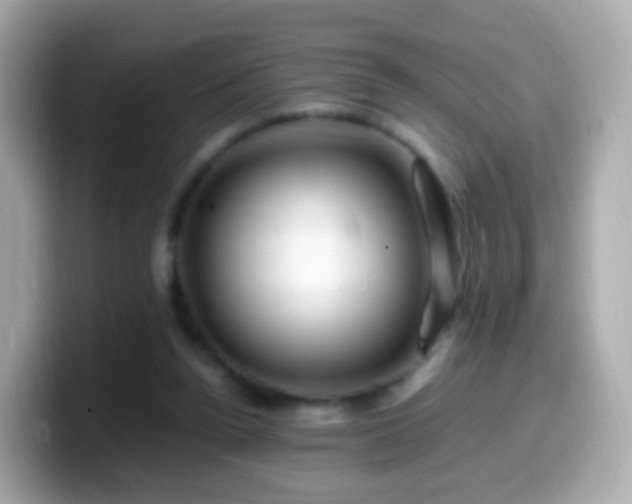 X0000099570160200805231538