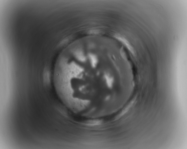 X0000099570161200805231538