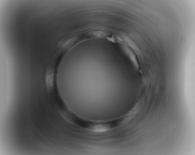 X0000099570163200805231538