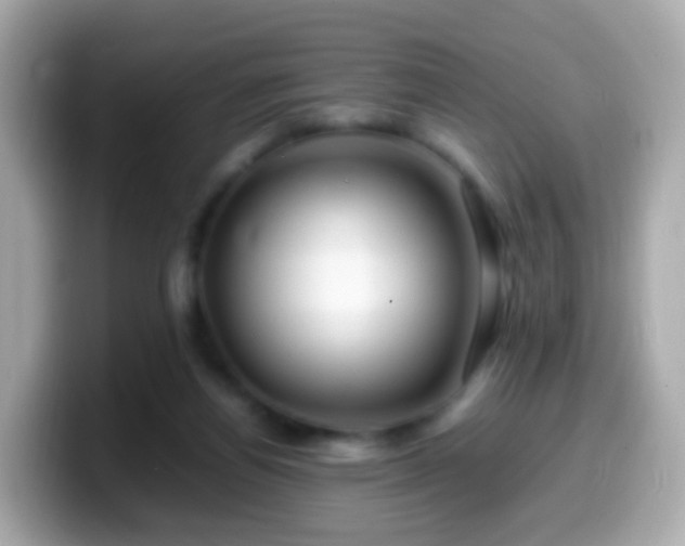 X0000099570164200805231538
