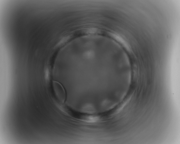 X0000099570165200805231538