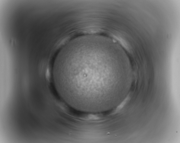 X0000099570166200805231538