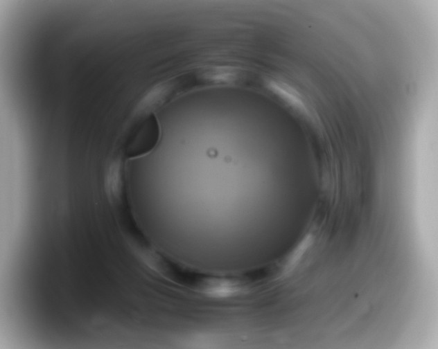 X0000099570167200805231538