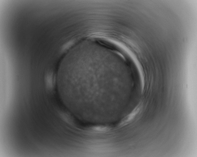 X0000099570168200805231538