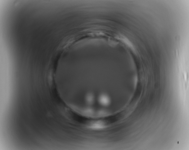 X0000099570169200805231538