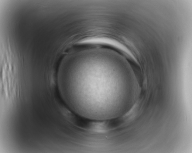 X0000099570170200805231538