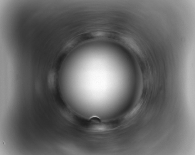 X0000099570171200805231538