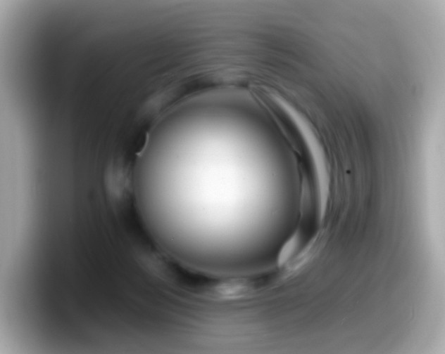 X0000099570172200805231538
