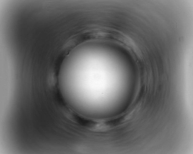 X0000099570173200805231538