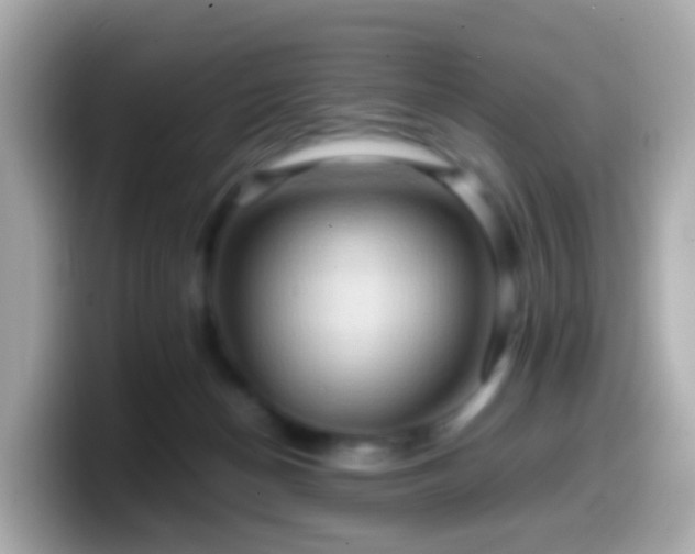 X0000099570174200805231538