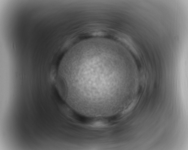 X0000099570175200805231538