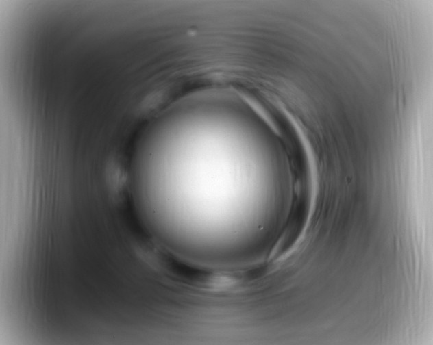 X0000099570176200805231538