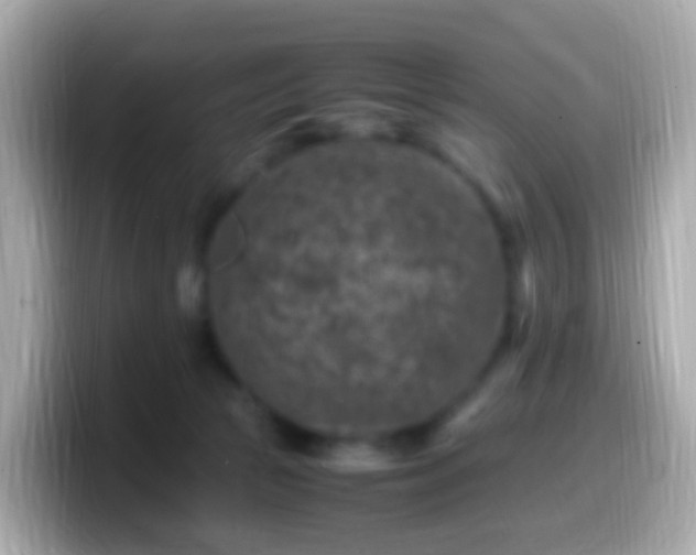 X0000099570177200805231538