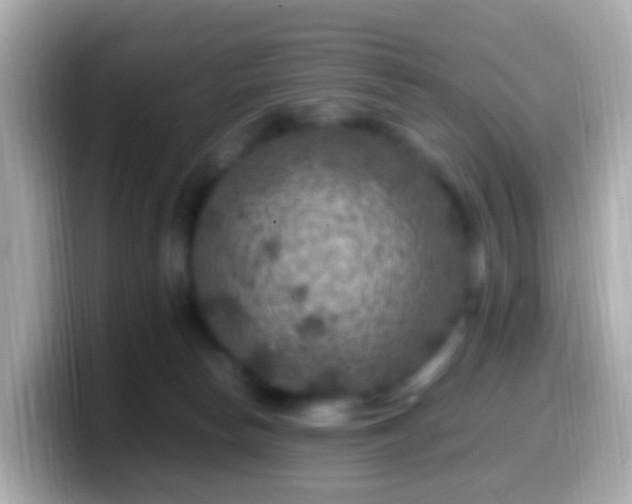 X0000099570178200805231538