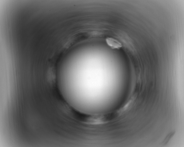 X0000099570179200805231538