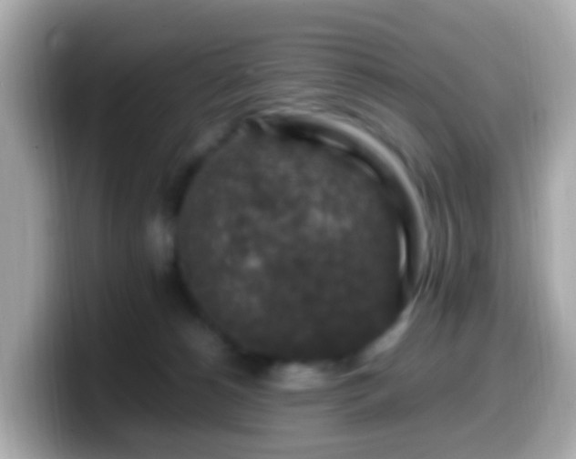 X0000099570180200805231538