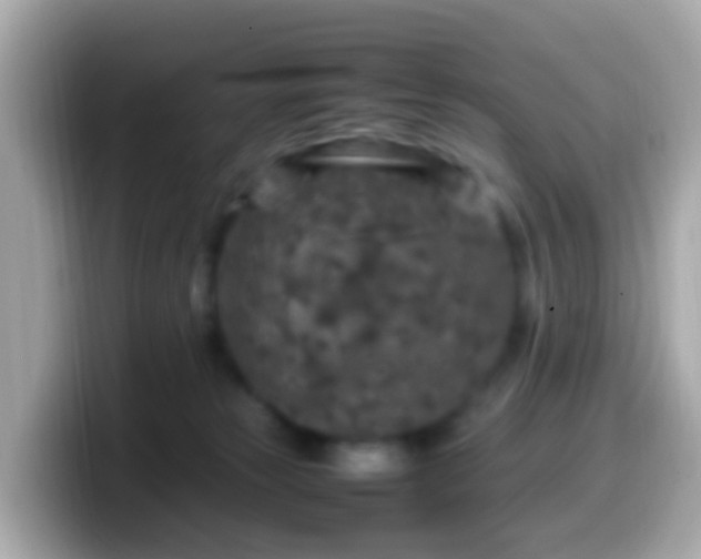 X0000099570181200805231538