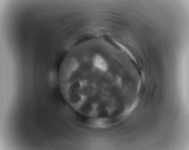 X0000099570182200805231538