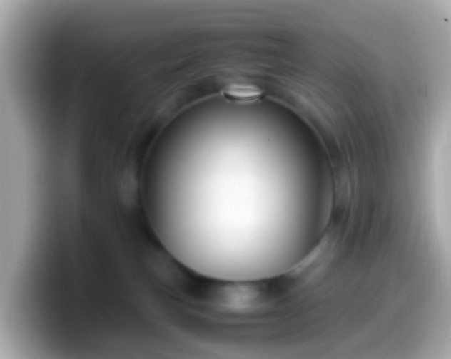 X0000099570183200805231538