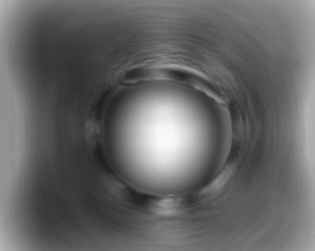 X0000099570184200805231538