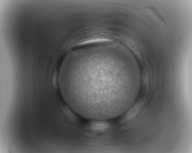 X0000099570185200805231538