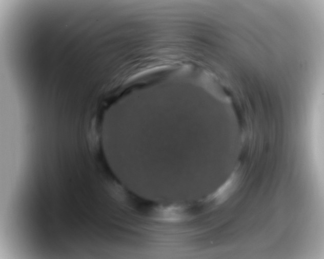 X0000099570186200805231538