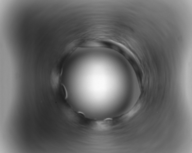 X0000099570188200805231538