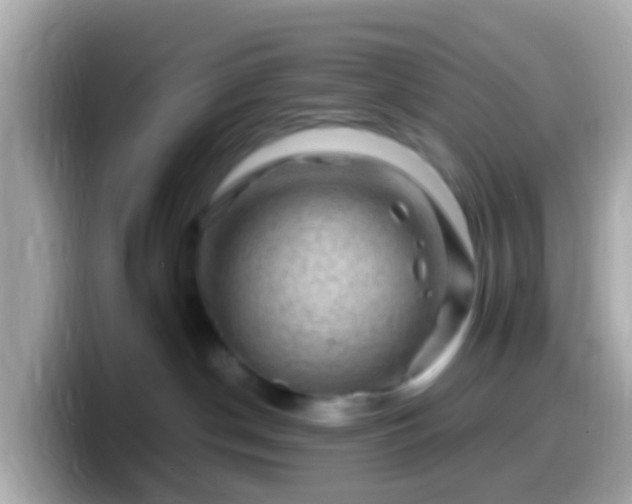 X0000099570190200805231538