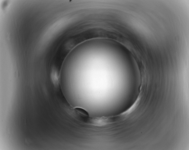 X0000099570191200805231538