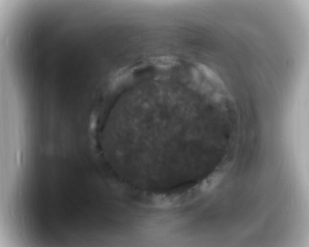 X0000099570192200805231538