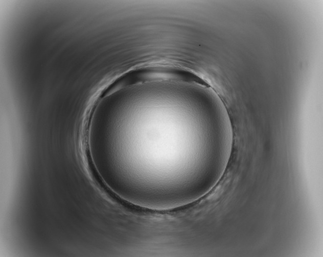 X0000099570193200805231538