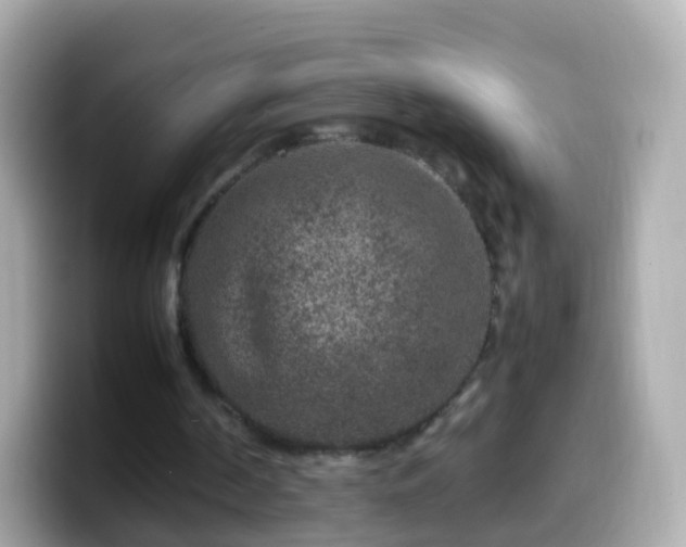 X0000099570194200805231538