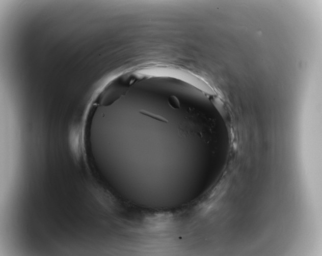 X0000099570196200805231538
