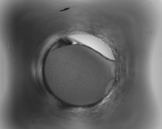 X0000099570197200805231538