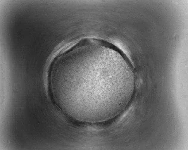X0000099570199200805231538