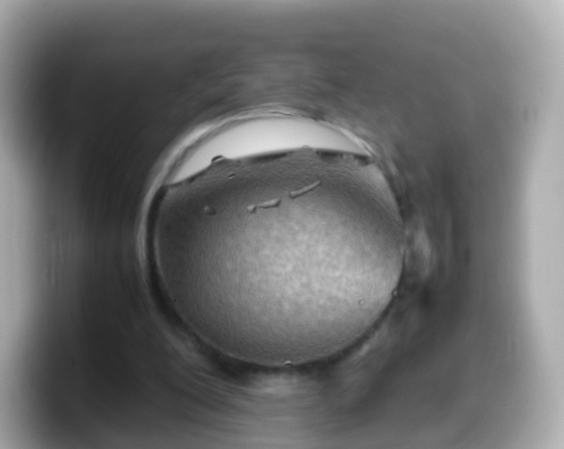 X0000099570200200805231538