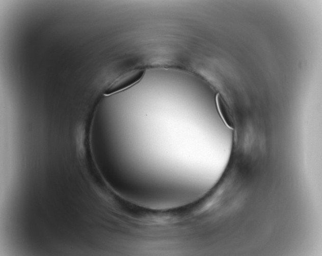 X0000099570201200805231538
