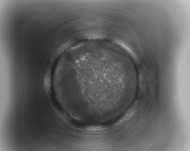 X0000099570202200805231538