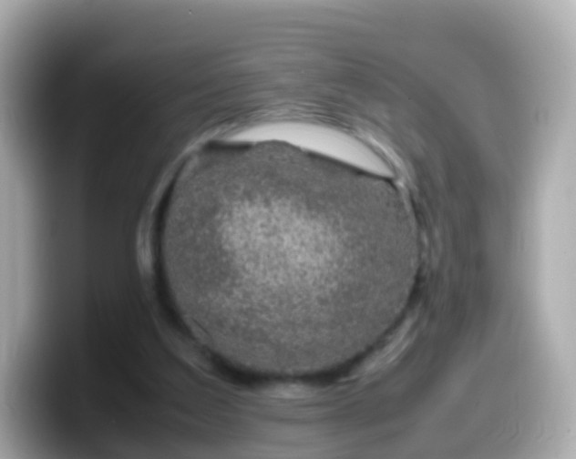 X0000099570203200805231538