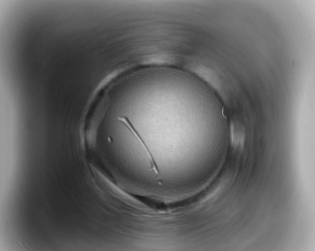 X0000099570204200805231538