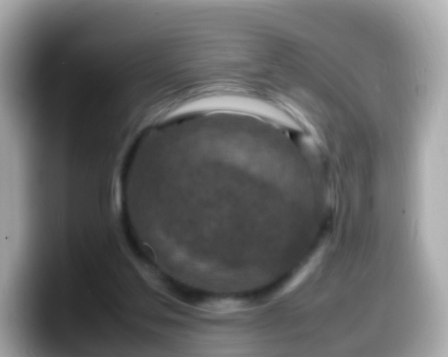 X0000099570205200805231538