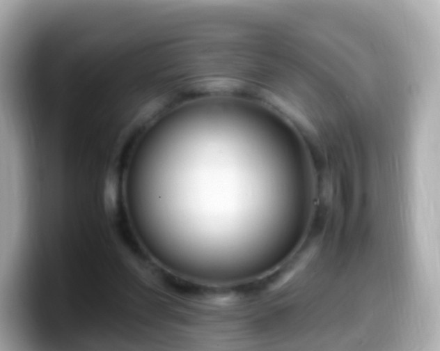 X0000099570206200805231538
