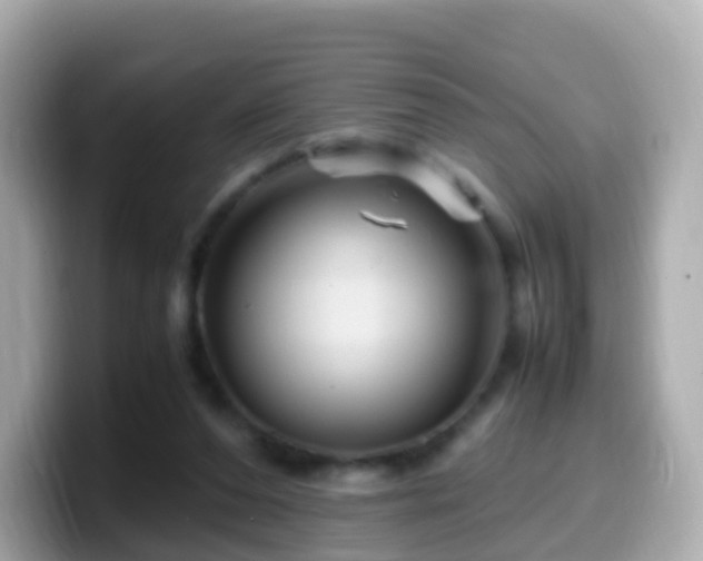 X0000099570208200805231537