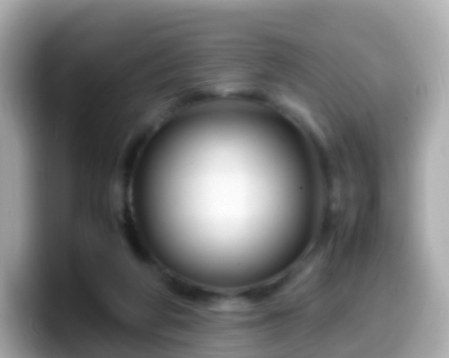X0000099570210200805231537