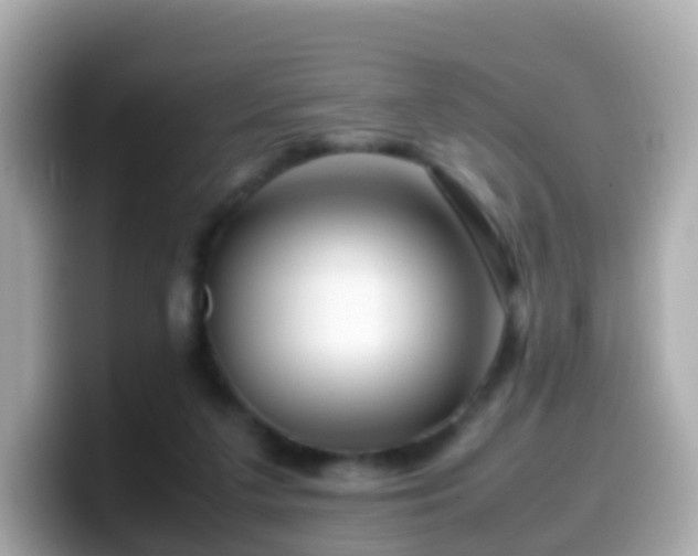 X0000099570211200805231537