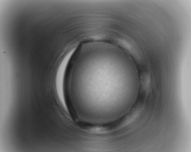 X0000099570212200805231537
